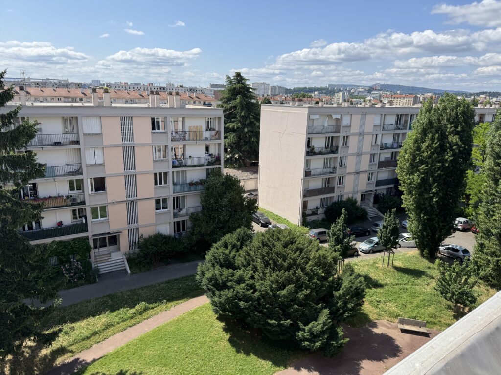 chemisage colonnes immeuble à Lyon