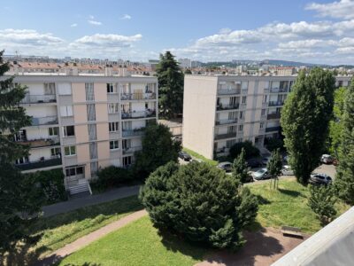 chemisage colonnes immeuble à Lyon