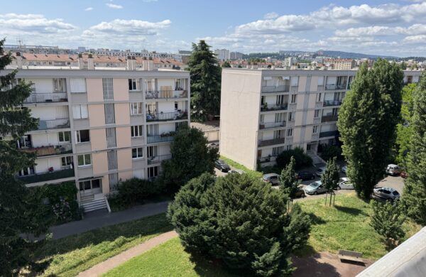 chemisage colonnes immeuble à Lyon